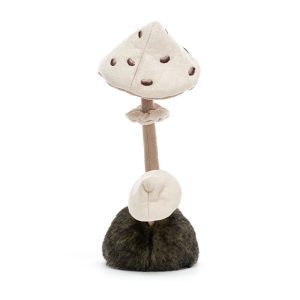Wild Nature Parasol Mushroom